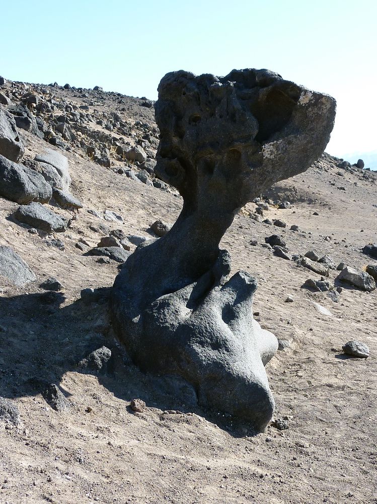 vallée de la mort  (105).JPG
